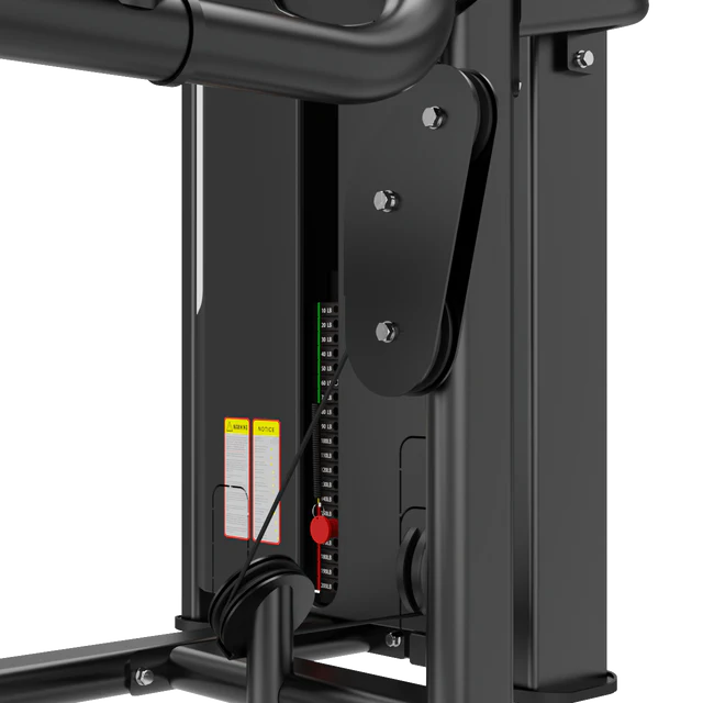 Dual Biceps & Tricep Machine IRONSIDE Luxe