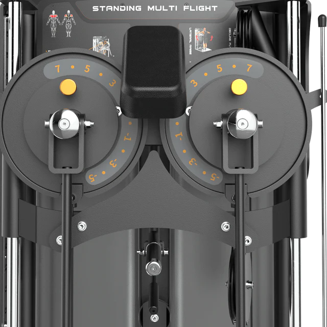 Standing Multi Flight Machine IRONSIDE Luxe
