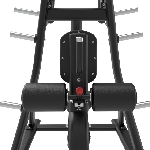 Universal Pulldown Machine Loaded Plate IRONSIDE Luxe