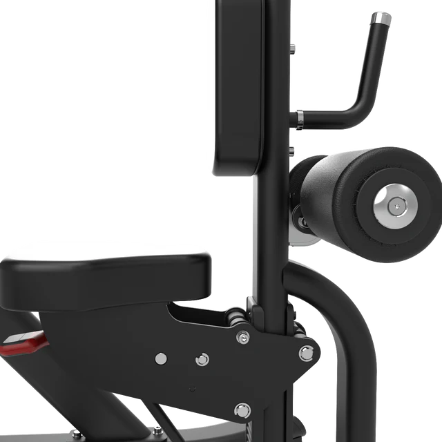 Universal Pulldown Machine Loaded Plate IRONSIDE Luxe