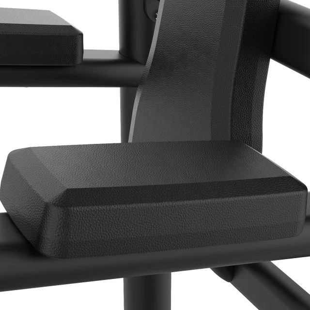 Multi Pull Up & Dip IRONSIDE Luxe